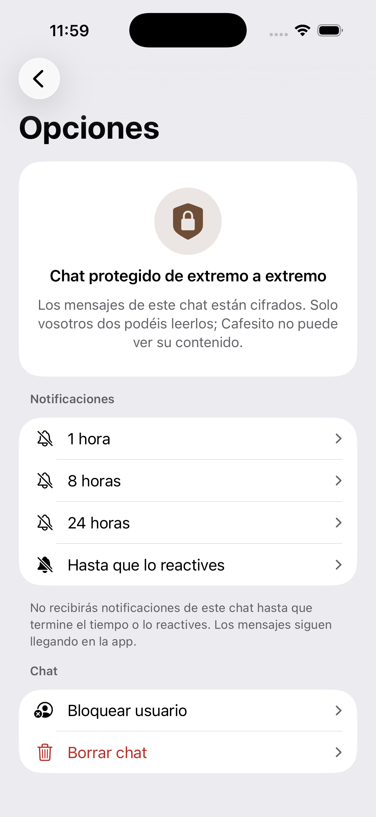 Direct messages in Cafesito